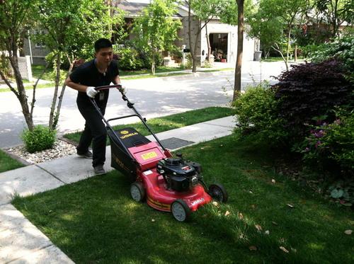 山觀實驗小學(xué)綠化養(yǎng)護(hù)