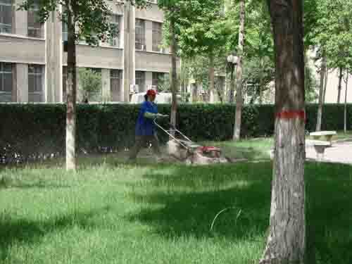 工廠、商務大樓、工業園區、私人企業、電影院、銀行、政府機關、學校、酒店娛樂場所等綠化養護