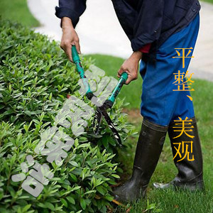 江陰保潔公司 江陰保潔服務 江陰綠化養護