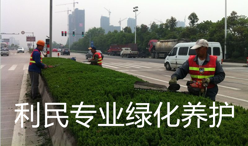綠化養護